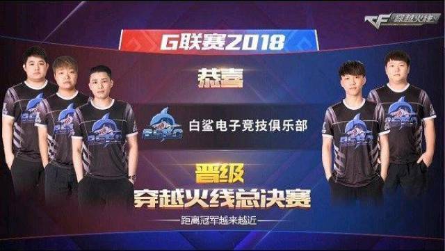 这类稳定型